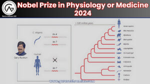 The Nobel Prize in Physiology or Medicine, Nobel Prize in Physiology or Medicine UPSC, 2024 Nobel Prize in Physiology UPSC, 2024 Nobel Prize in Medicine UPSC, messenger ribonucleic acid, messenger ribonucleic acid UPSC, फिजियोलॉजी या मेडिसिन में नोबेल पुरस्कार 2024, Nobel Prize in Physiology or Medicine,