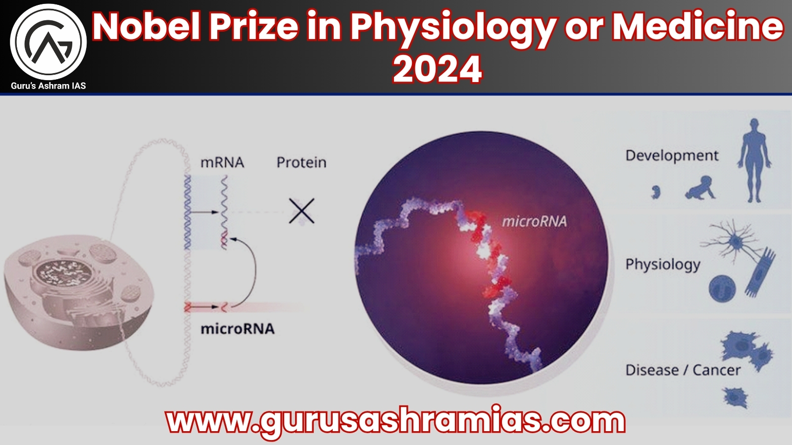 The Nobel Prize in Physiology or Medicine, Nobel Prize in Physiology or Medicine UPSC, 2024 Nobel Prize in Physiology UPSC, 2024 Nobel Prize in Medicine UPSC, messenger ribonucleic acid, messenger ribonucleic acid UPSC, फिजियोलॉजी या मेडिसिन में नोबेल पुरस्कार 2024, Nobel Prize in Physiology or Medicine